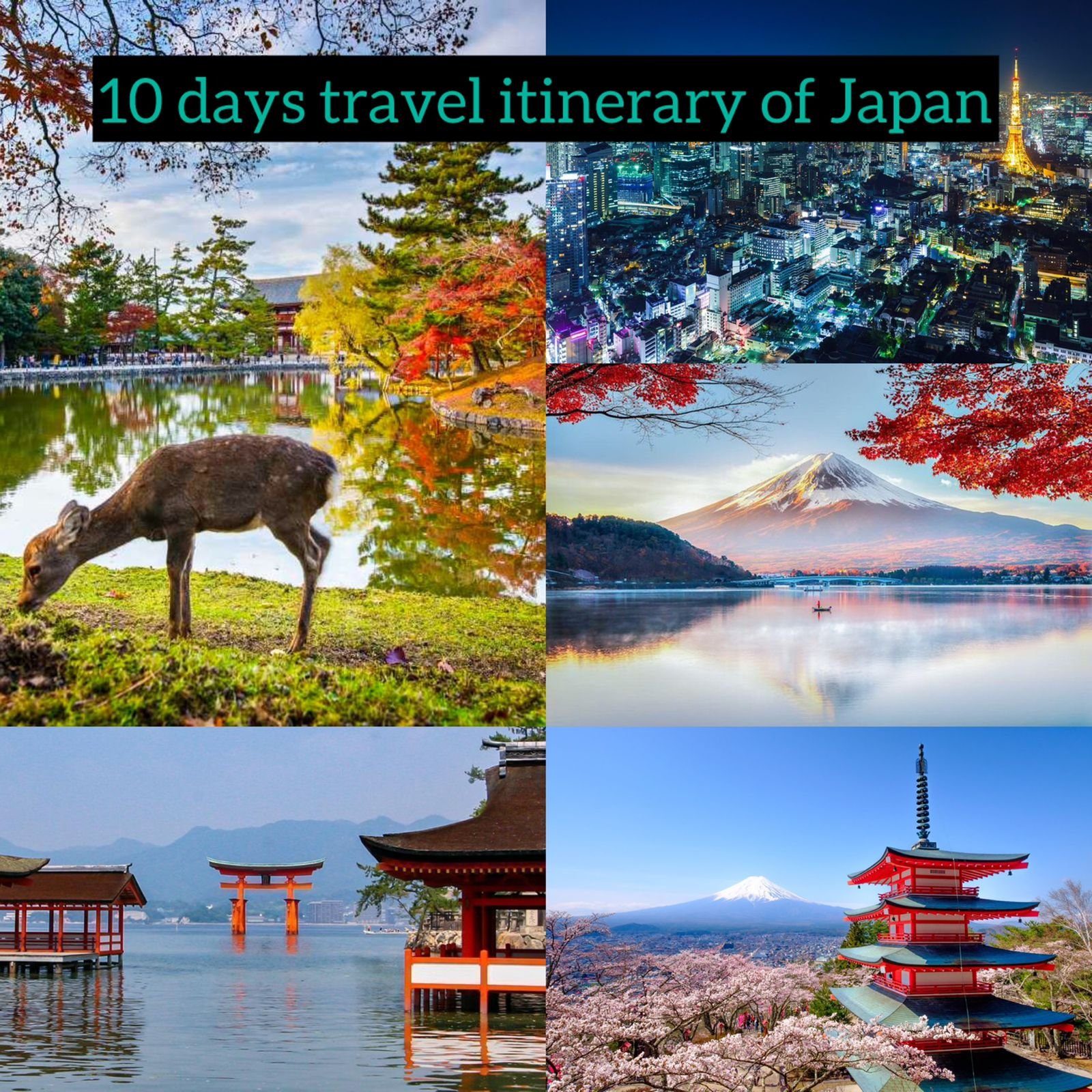 10 days itinerary to Japan