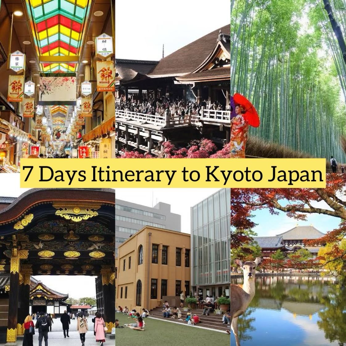 7 days itinerary kyoto Japan