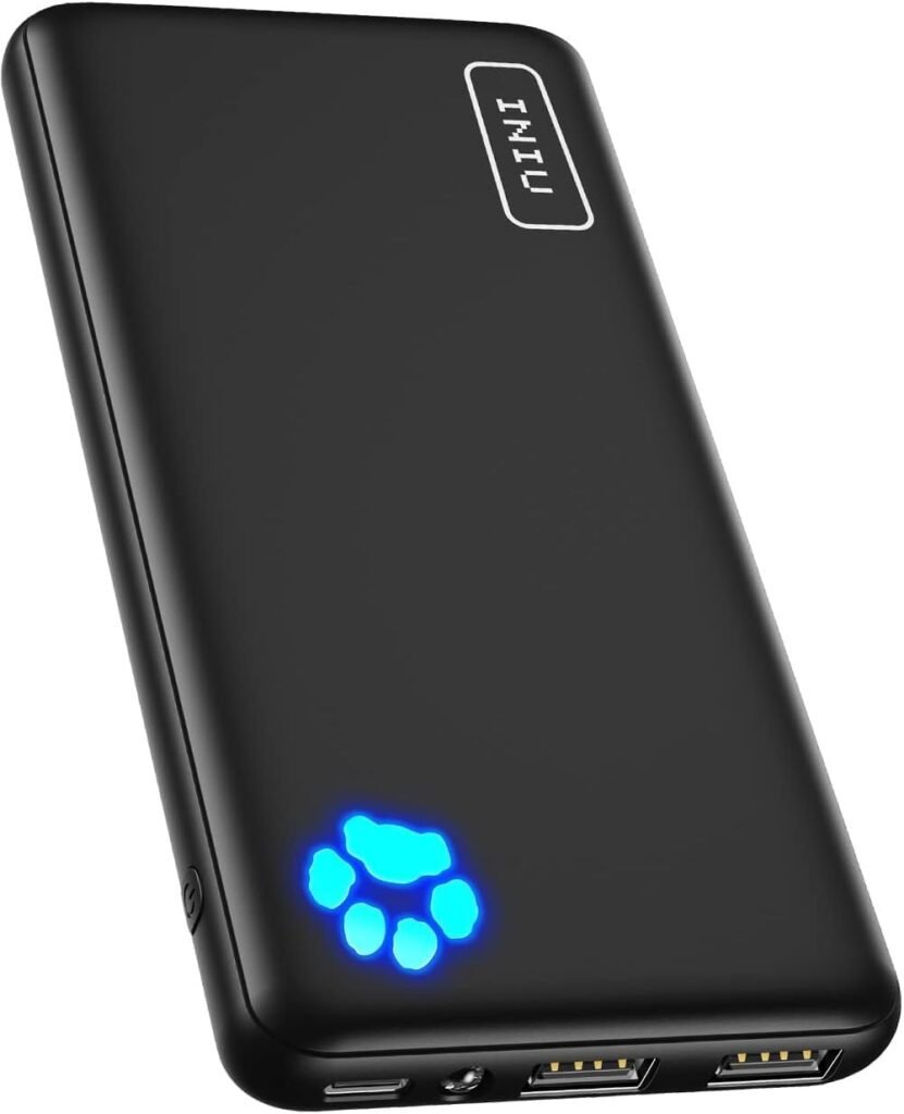 INIU portable charger