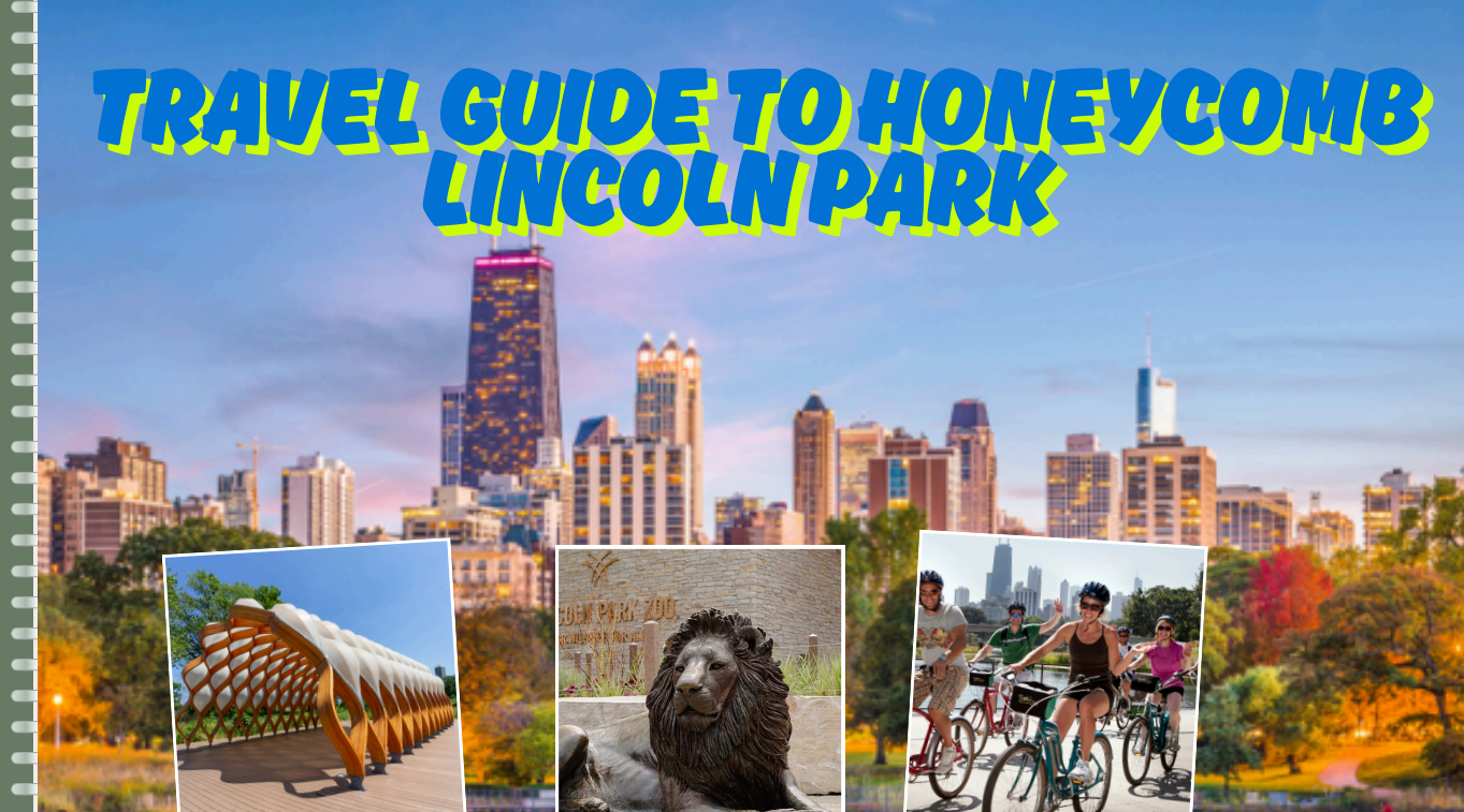 Travel Guide to Honeycomb Lincoln Park