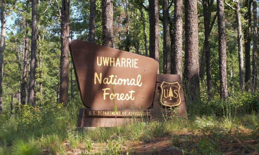  Trails and Nature in Uwharrie National Forest. image credit: https://www.visitnc.com/listing/SfSU/uwharrie-national-forest 