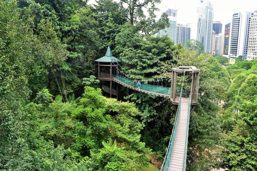 KL Forest Eco Park Canopy Walk