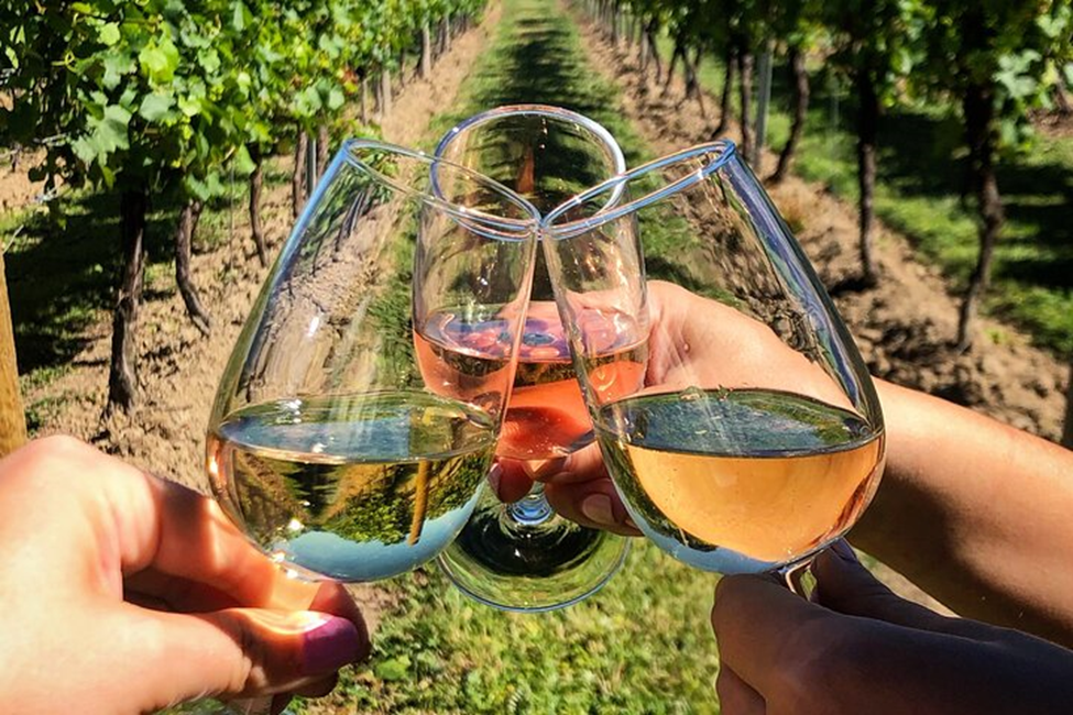 Wine Tasting and Bunkers in Tirana .Image credit : https://www.tripadvisor.com/  